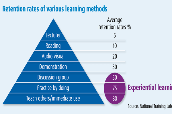 Experiential Learning Rates
